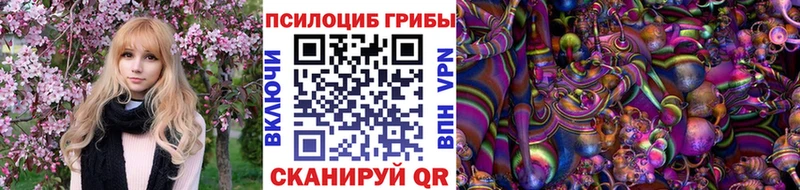 магазин    Далматово  Псилоцибиновые грибы мухоморы 
