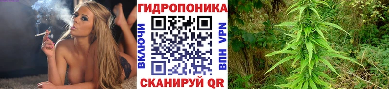 купить закладку  МЕГА ТОР  Бошки марихуана тримм  Далматово 